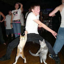 클럽 남자 표정 역대급 춤추는 합성 고양이
