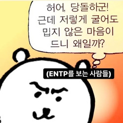 ENTP MBTI 성격 유형 취향 mbti짤 mbti짤방 mbti타입