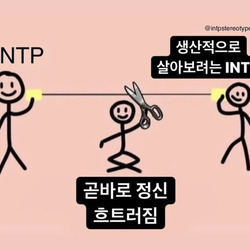 INTP #MBTI 성격 유형 취향 mbti짤 mbti짤방 mbti타입