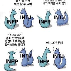 INFP INTJ MBTI 성격 유형 취향 mbti짤 mbti짤방 mbti타입