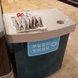 마트 시식 생선 부담없이 맛보세요